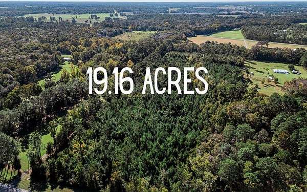19.2 Acres of Land for Sale in Alachua, Florida