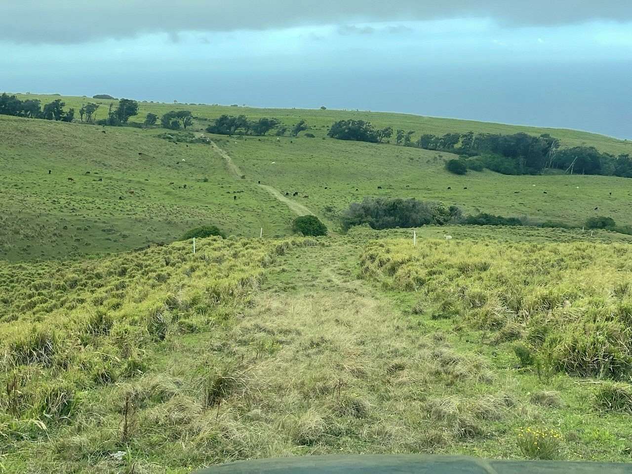 29.1 Acres of Agricultural Land for Sale in Nāʻālehu, Hawaii