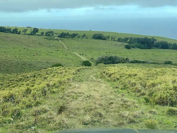 29.1 Acres of Agricultural Land for Sale in Nāʻālehu, Hawaii