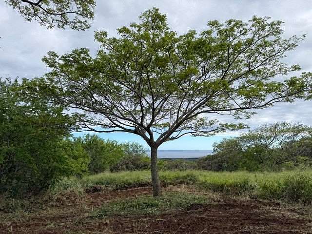 23.5 Acres of Agricultural Land for Sale in Nāʻālehu, Hawaii