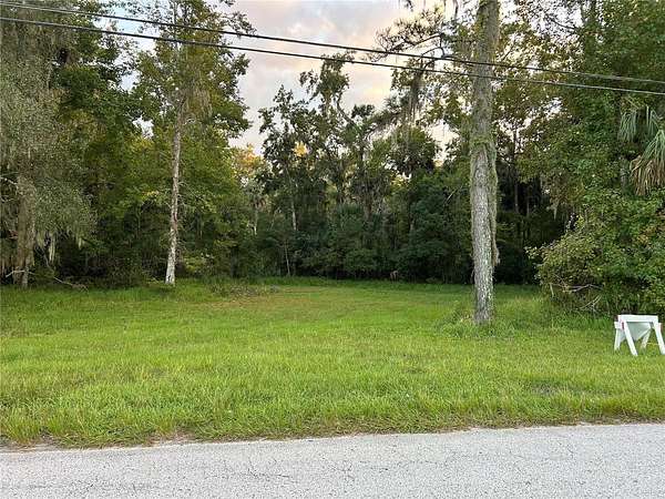 0.46 Acres of Residential Land for Sale in Astor, Florida