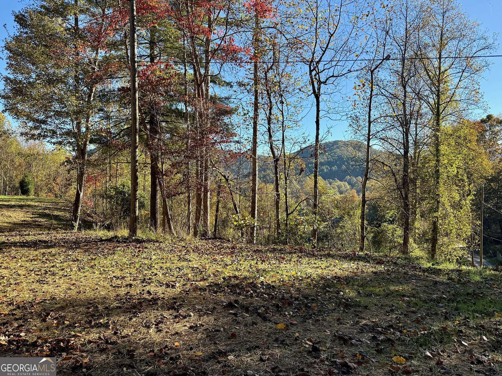 3.74 Acres of Residential Land for Sale in Dillard, Georgia