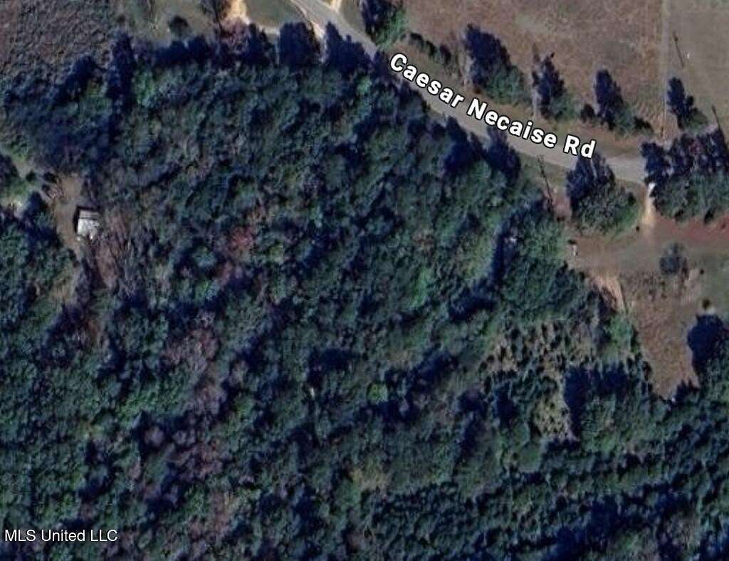 5 Acres of Land for Sale in Perkinston, Mississippi