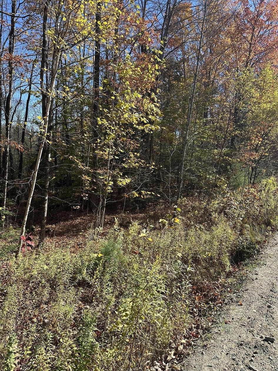 10.1 Acres of Land for Sale in Starks, Maine