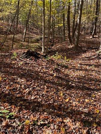 4.82 Acres of Residential Land for Sale in Chardon, Ohio