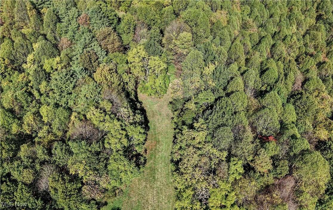 31.2 Acres of Recreational Land for Auction in New Philadelphia, Ohio