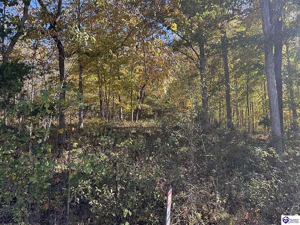 8 Acres of Residential Land for Sale in Eastview, Kentucky