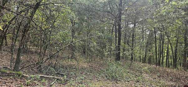 10.9 Acres of Land for Sale in Mountain Home, Arkansas