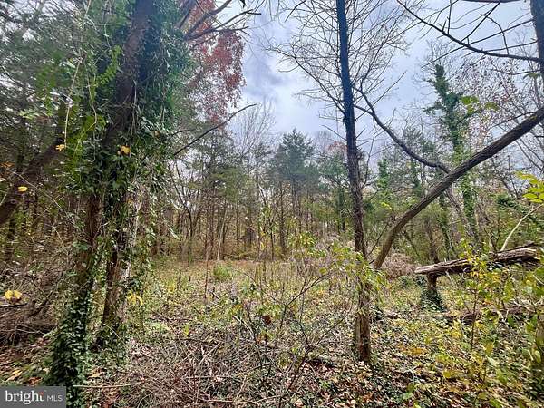 1.2 Acres of Residential Land for Sale in Luray, Virginia