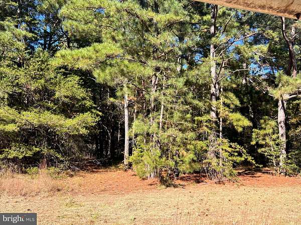 0.34 Acres of Residential Land for Sale in Montross, Virginia