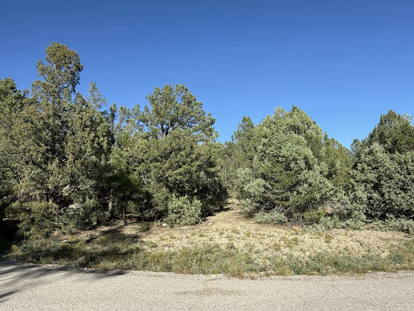 1.19 Acres of Residential Land for Sale in Jemez Springs, New Mexico