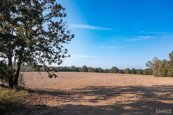 49 Acres of Land for Sale in Glen Allen, Missouri
