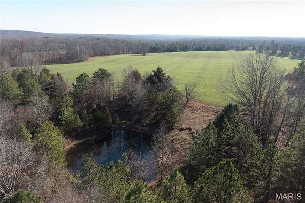49 Acres of Land for Sale in Glen Allen, Missouri