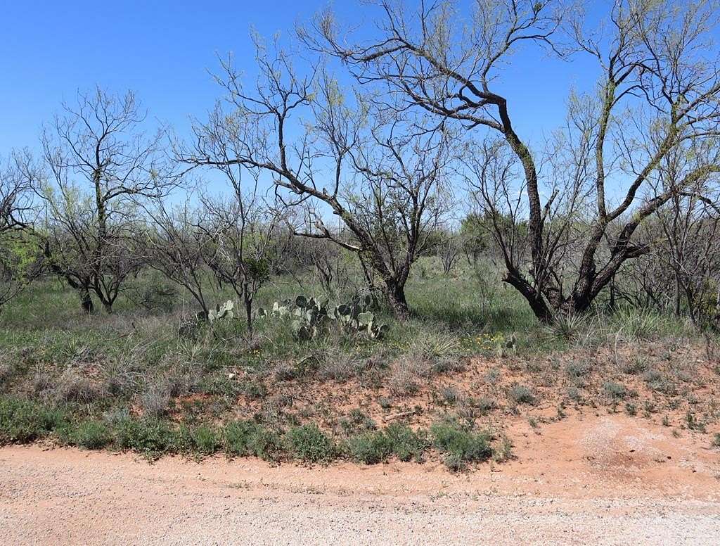 0.19 Acres of Residential Land for Sale in Sweetwater, Texas