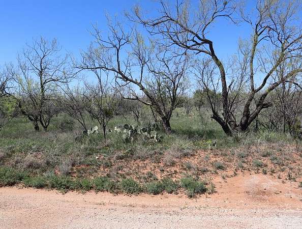 0.19 Acres of Residential Land for Sale in Sweetwater, Texas