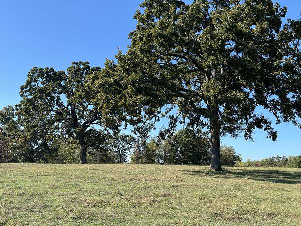 77.7 Acres of Recreational Land & Farm for Sale in Alton, Missouri