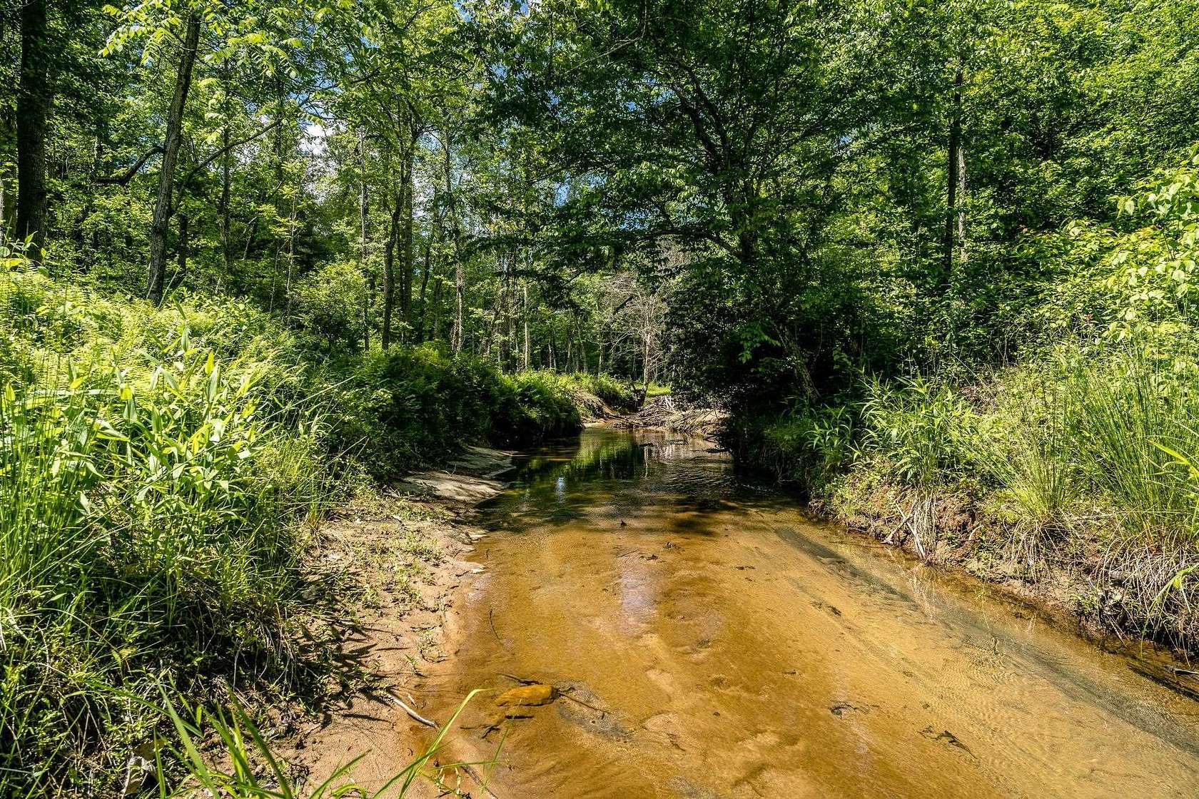 60.5 Acres of Agricultural Land for Sale in Schuyler, Virginia