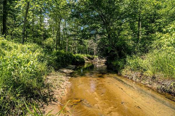 60.5 Acres of Agricultural Land for Sale in Schuyler, Virginia