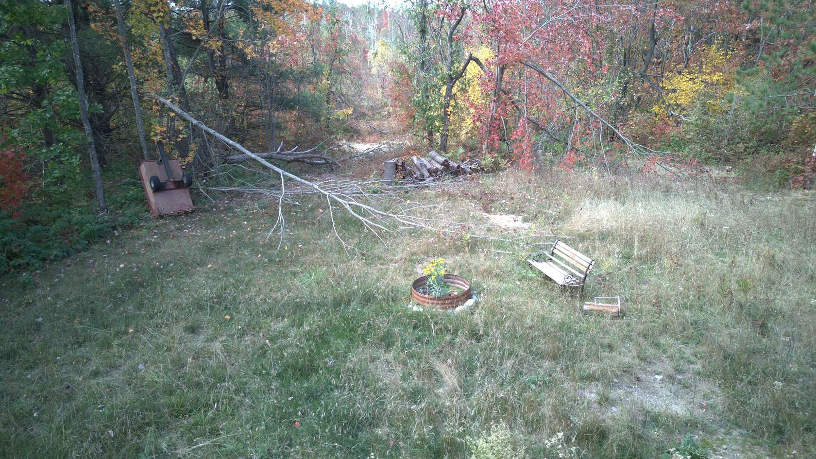 10.4 Acres of Recreational Land for Sale in Gaylord, Michigan