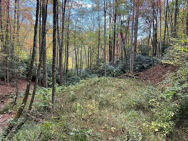 1.36 Acres of Residential Land for Sale in Nantahala, North Carolina