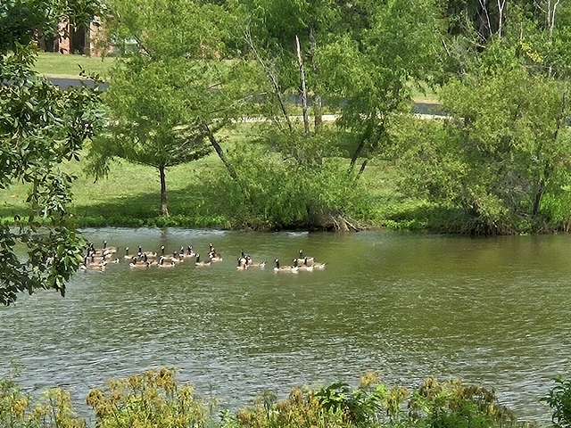 3.26 Acres of Land for Sale in Texarkana, Texas