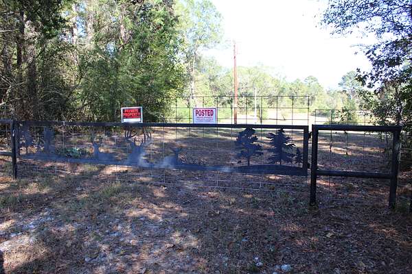 81.2 Acres of Improved Land for Sale in De Kalb, Texas