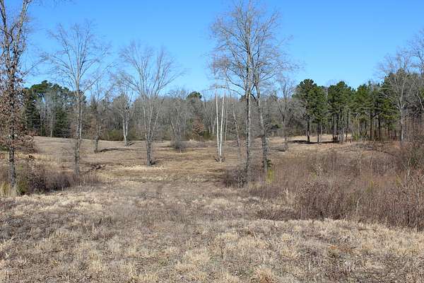 81.2 Acres of Improved Land for Sale in De Kalb, Texas