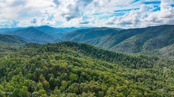 156 Acres of Land for Sale in Green Mountain, North Carolina