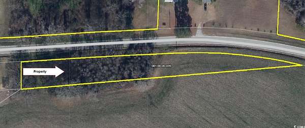 1 Acre of Residential Land for Sale in Dillon, South Carolina