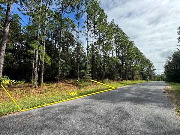 0.25 Acres of Residential Land for Sale in Citrus Springs, Florida
