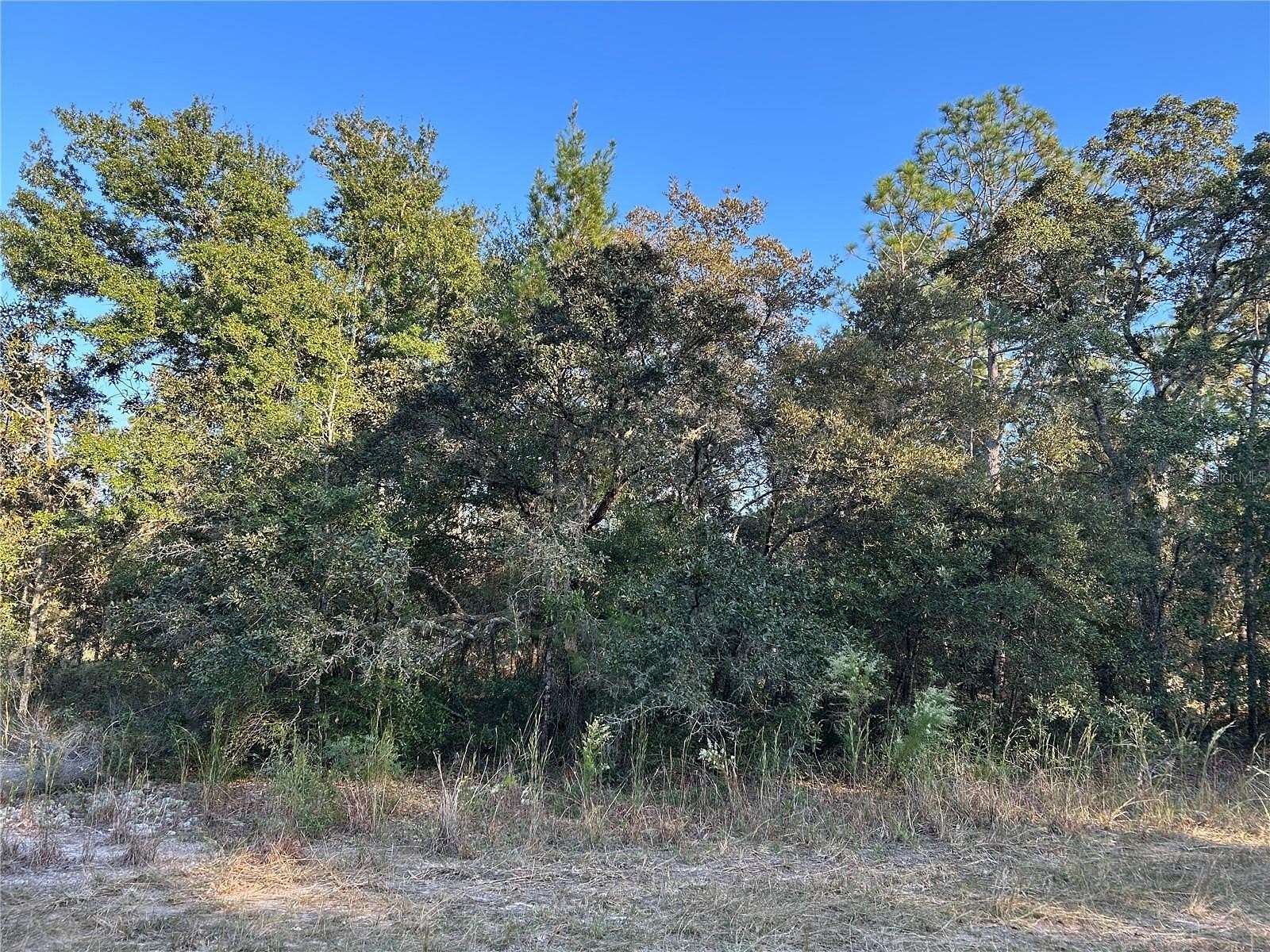 0.23 Acres of Residential Land for Sale in Williston, Florida