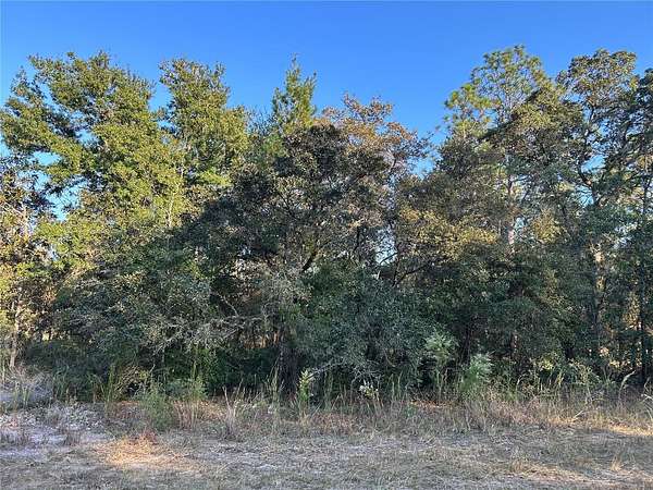 0.23 Acres of Residential Land for Sale in Williston, Florida