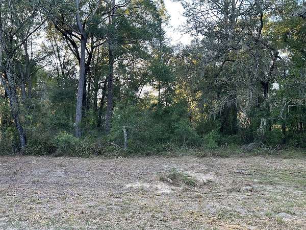 0.23 Acres of Land for Sale in Williston, Florida