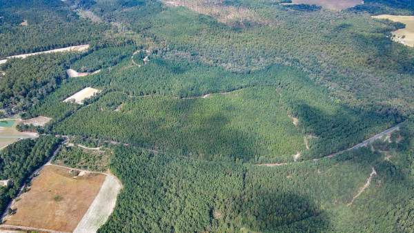 100 Acres of Recreational Land for Sale in Windsor, South Carolina