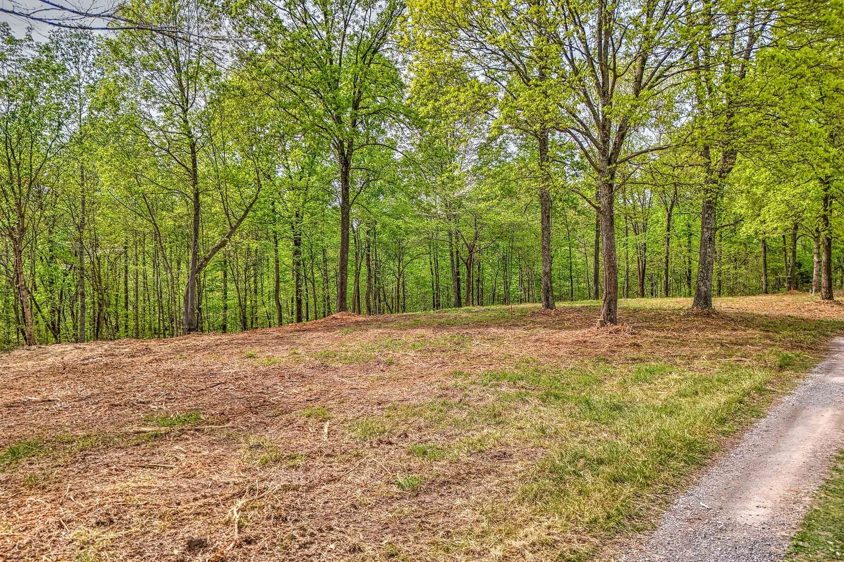 11.6 Acres of Land for Sale in Bethpage, Tennessee