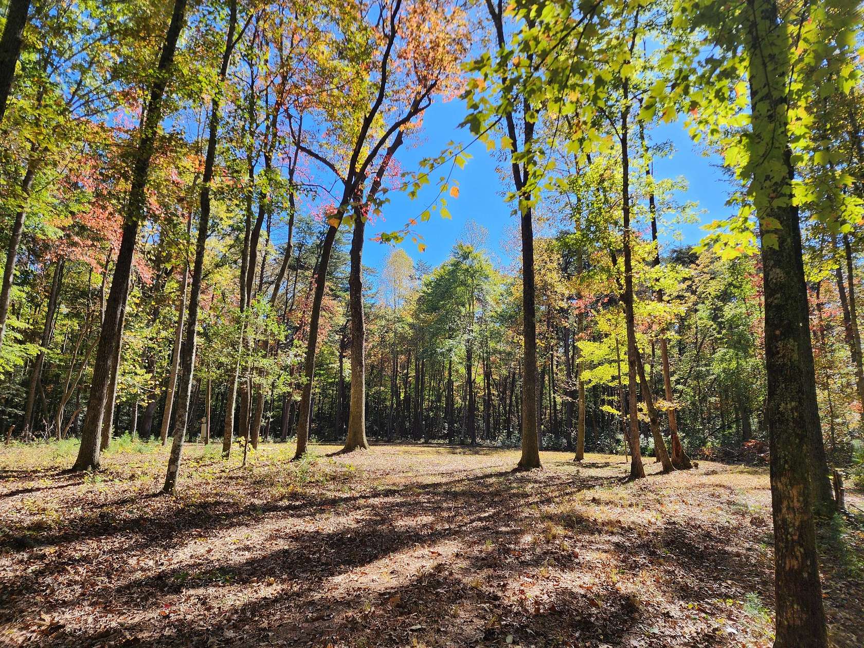 1.47 Acres of Residential Land for Sale in Mentone, Alabama