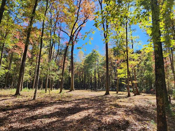 1.47 Acres of Residential Land for Sale in Mentone, Alabama
