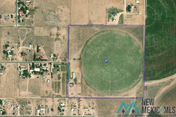 41.8 Acres of Agricultural Land for Sale in Hobbs, New Mexico