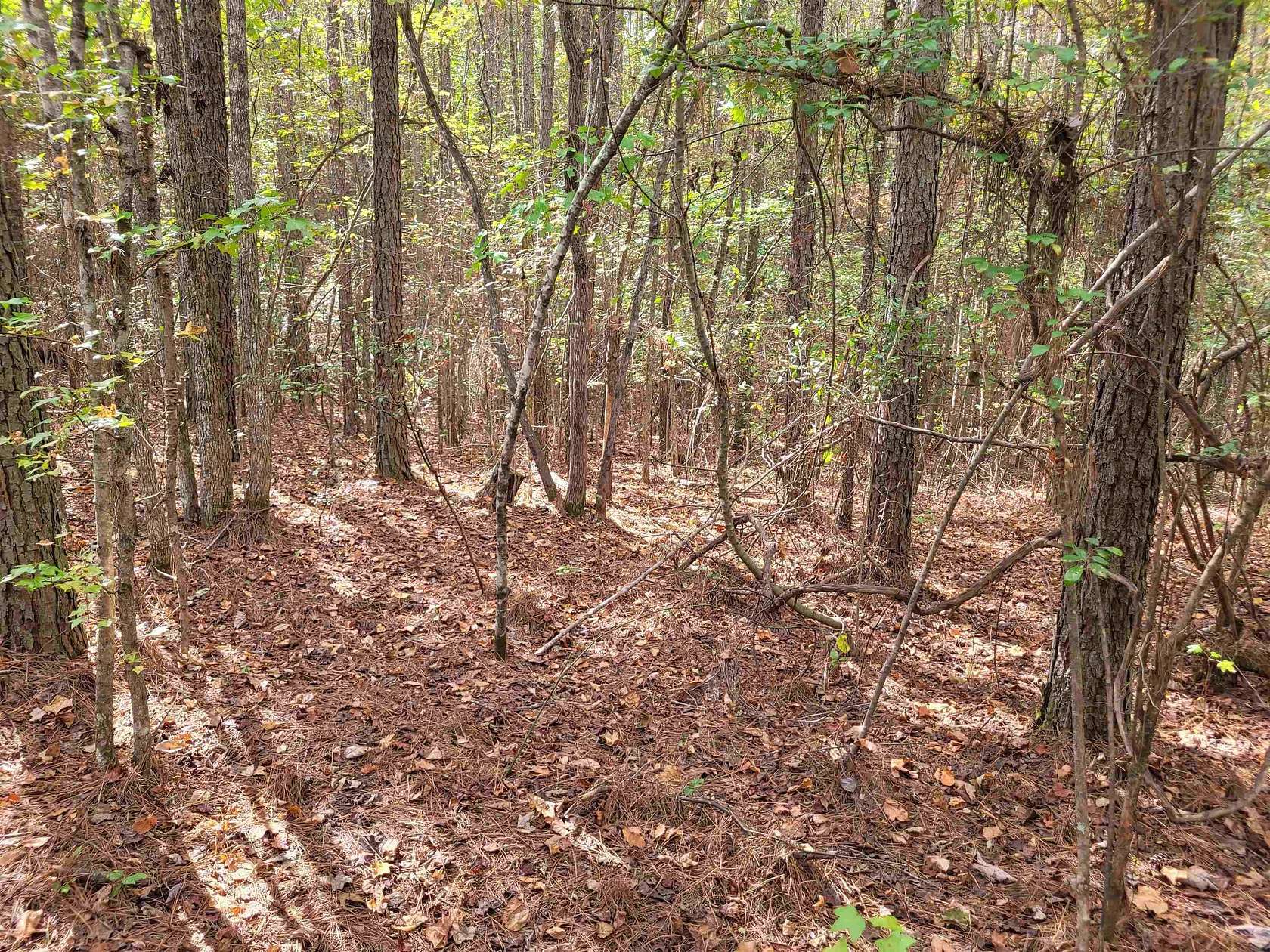 21 Acres of Recreational Land for Sale in Morris Chapel, Tennessee