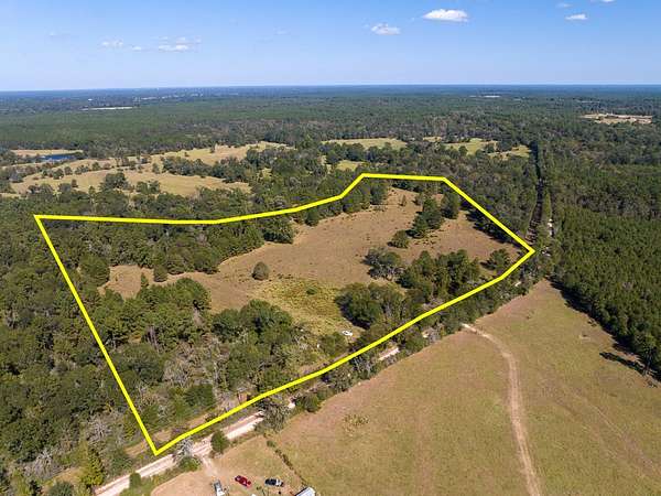 31 Acres of Agricultural Land for Sale in Lovelady, Texas