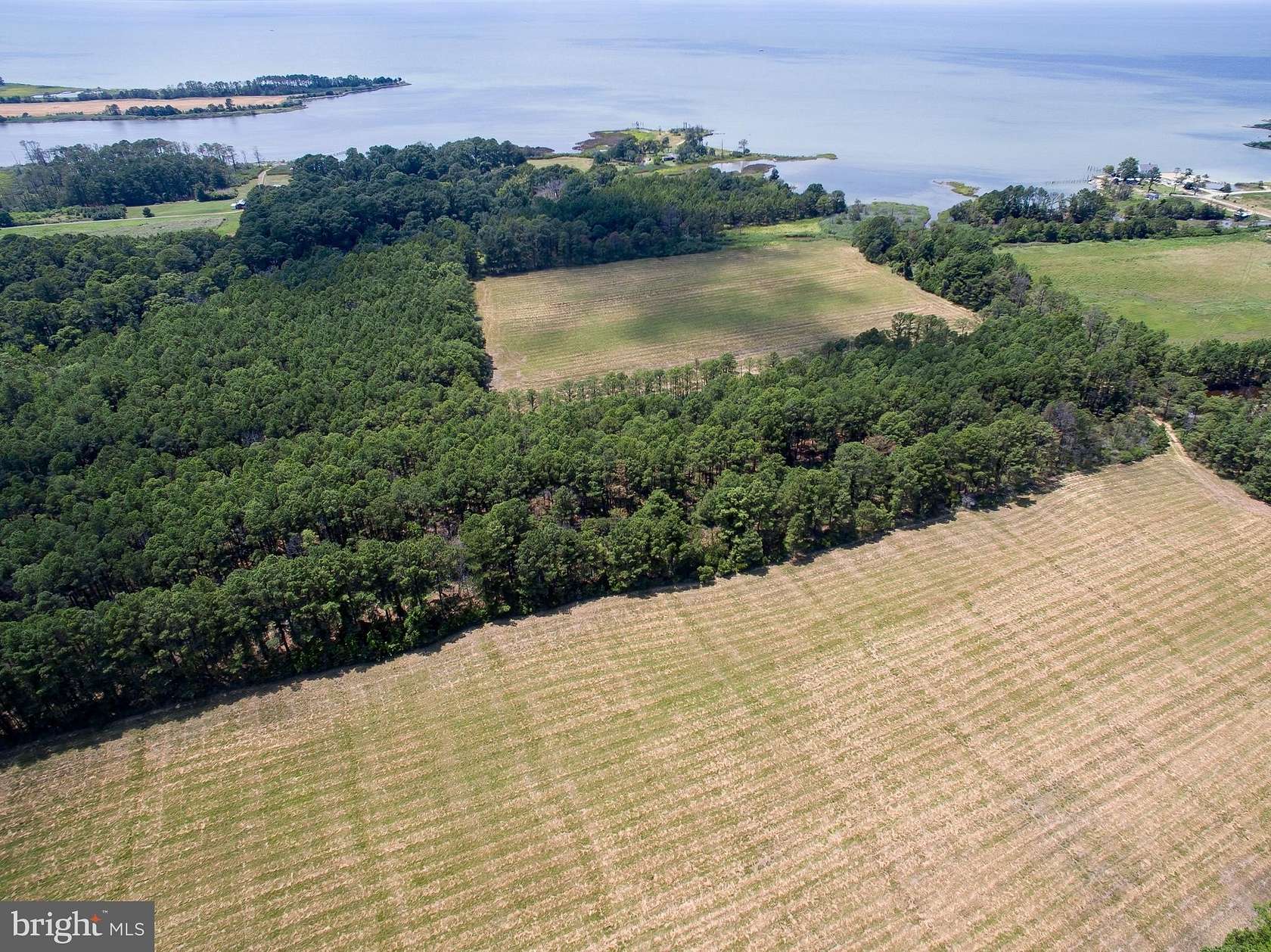 31.9 Acres of Land for Sale in Taylors Island, Maryland