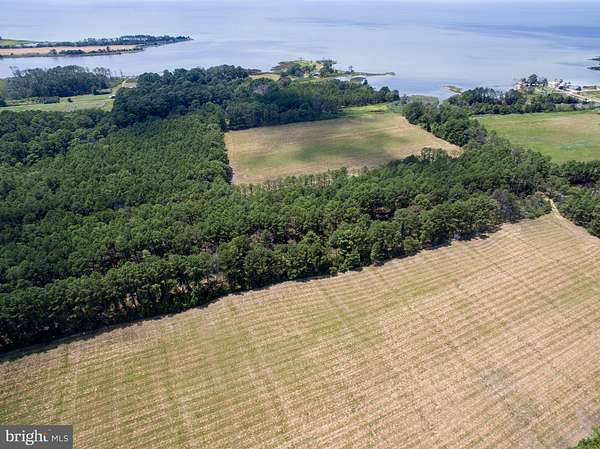 31.9 Acres of Land for Sale in Taylors Island, Maryland