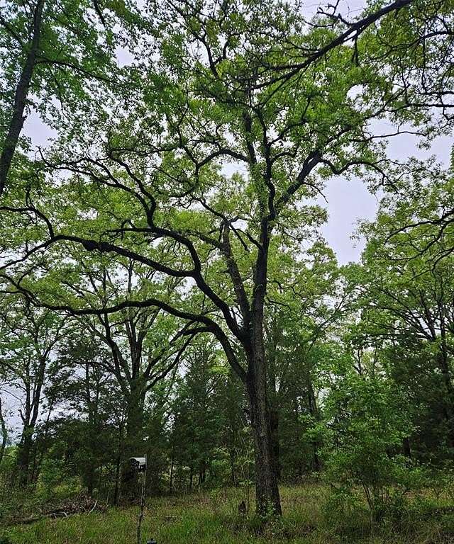 5.2 Acres of Land for Sale in Malakoff, Texas