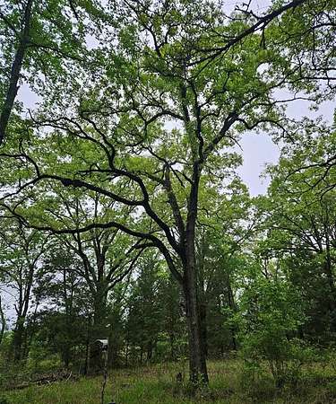 5.2 Acres of Land for Sale in Malakoff, Texas