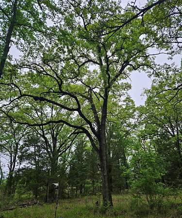 5.2 Acres of Land for Sale in Malakoff, Texas