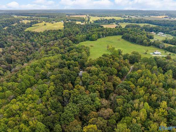 13.2 Acres of Recreational & Residential Land for Sale in Lester, Alabama