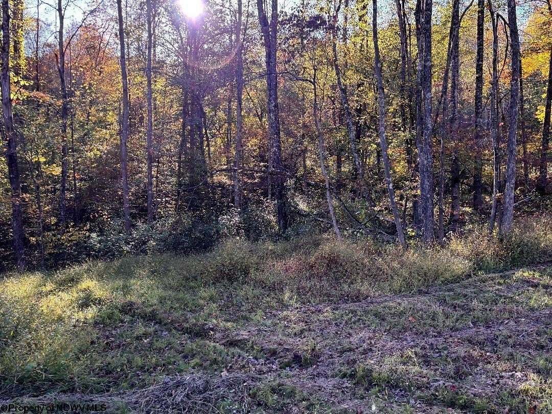 2 Acres of Residential Land for Sale in Junior, West Virginia