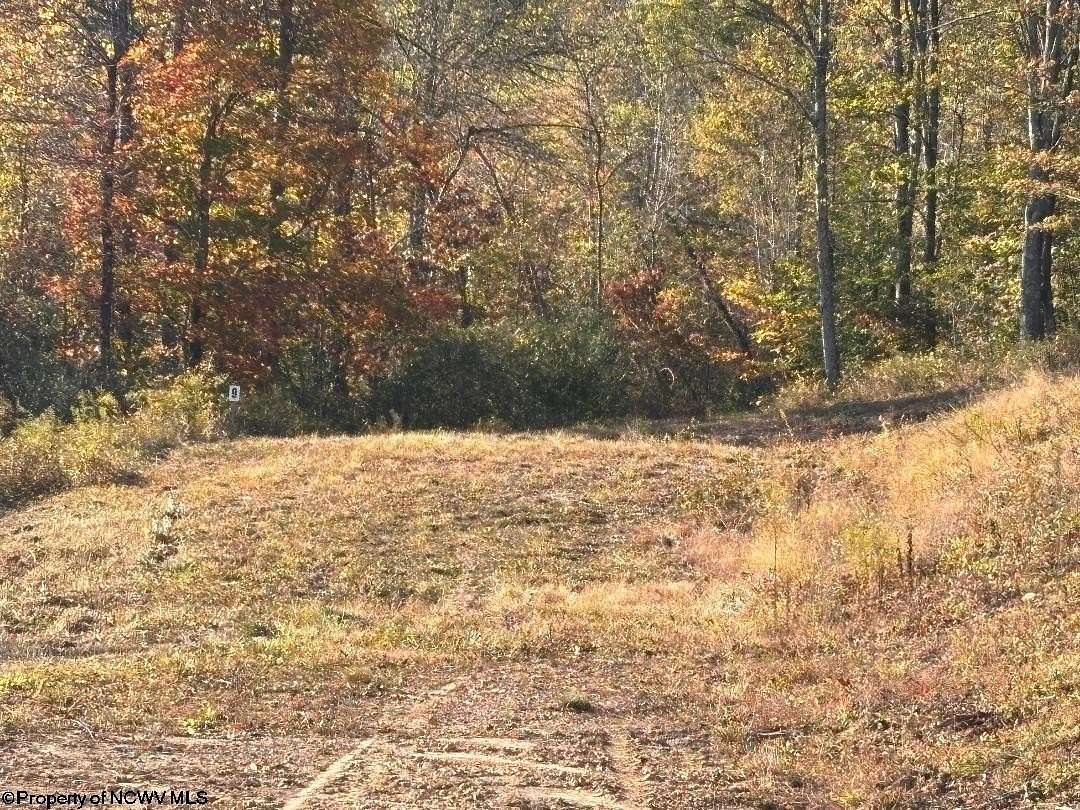 1 Acre of Residential Land for Sale in Junior, West Virginia
