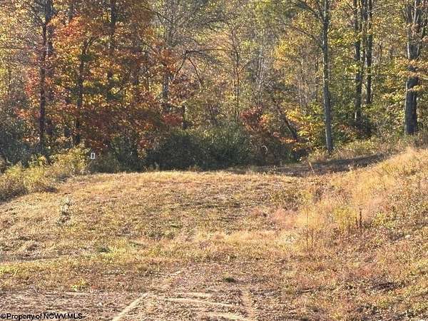 1 Acre of Residential Land for Sale in Junior, West Virginia