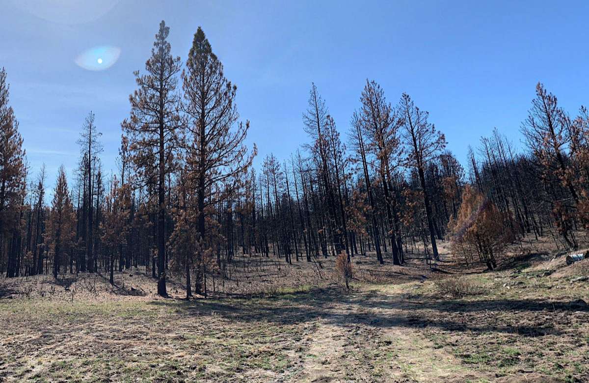 2.2 Acres of Residential Land for Sale in Klamath Falls, Oregon